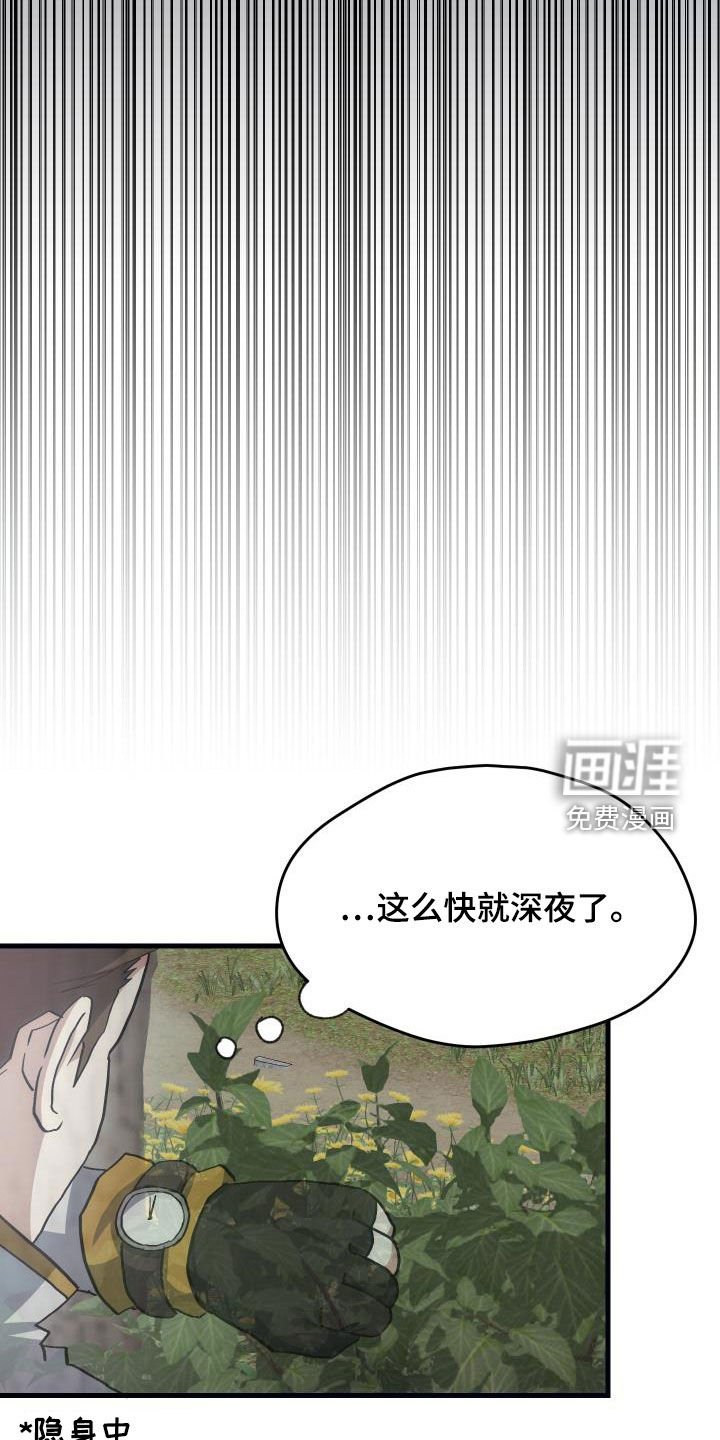第29章：神秘刺客