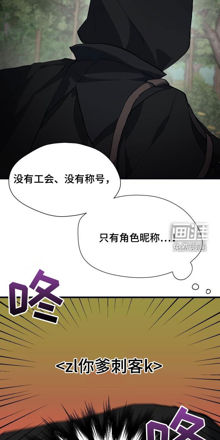 第29章：神秘刺客