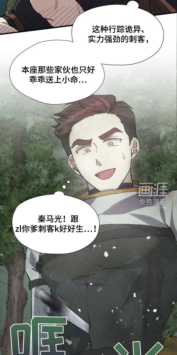第29章：神秘刺客