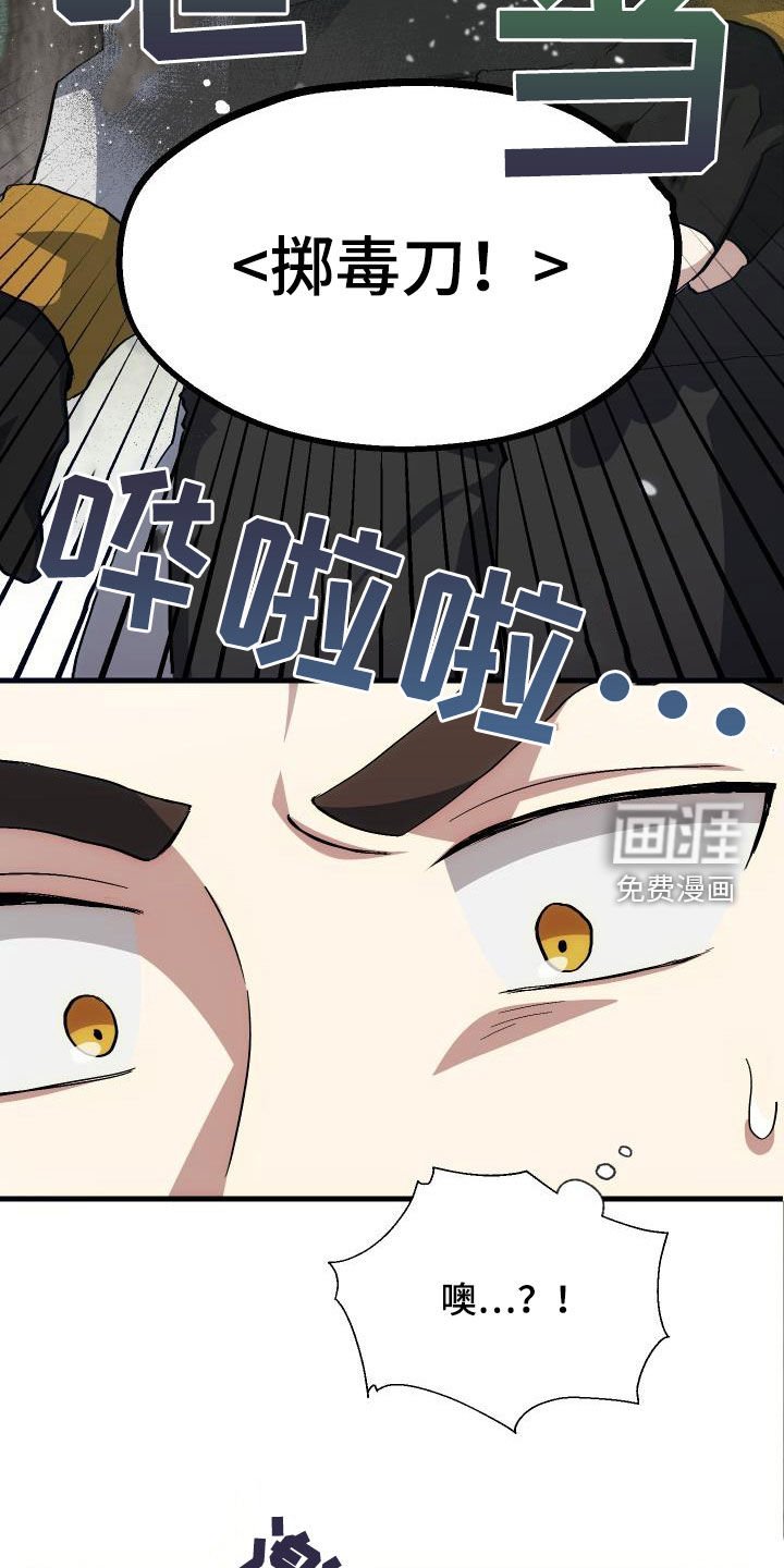 第29章：神秘刺客