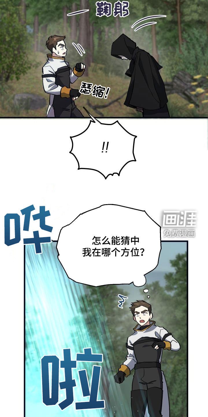 第29章：神秘刺客