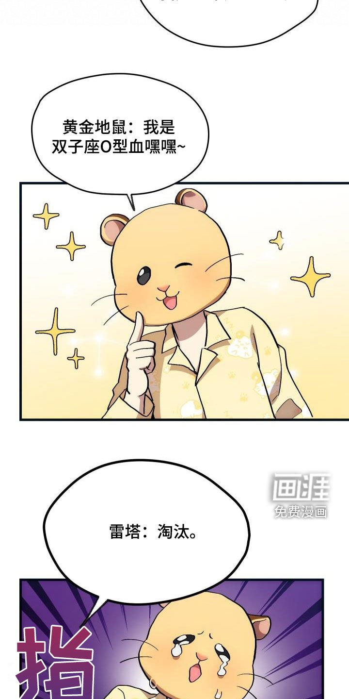 第31章：选择