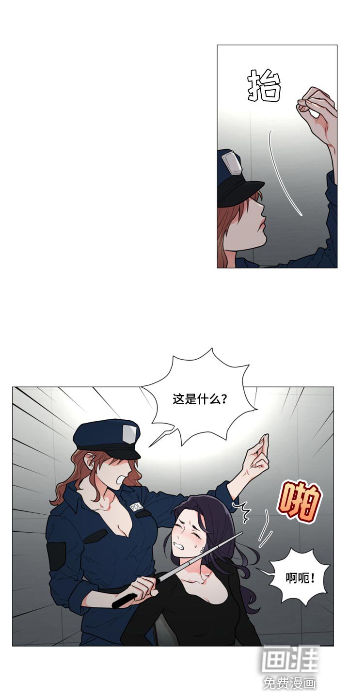 第104章：配合调查