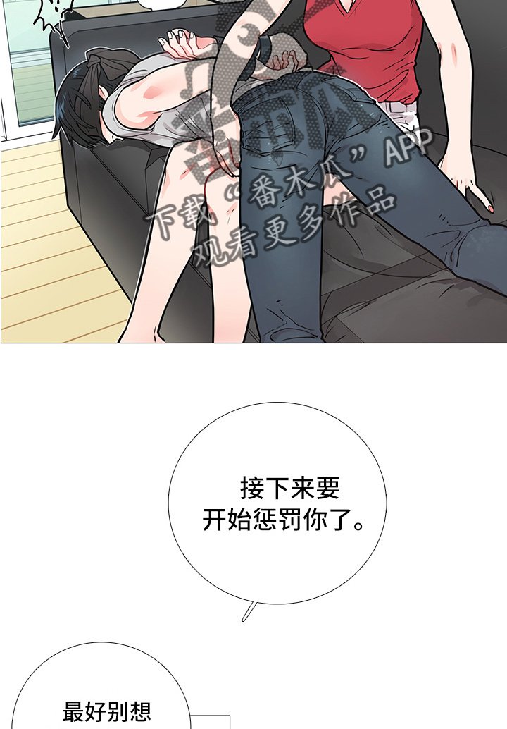第13章：开始