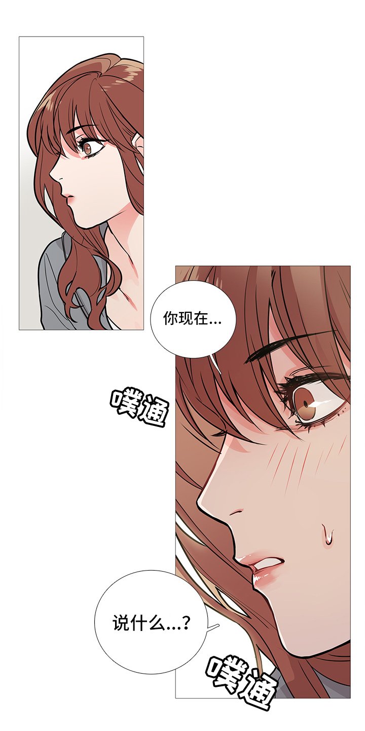第19章：猫腻