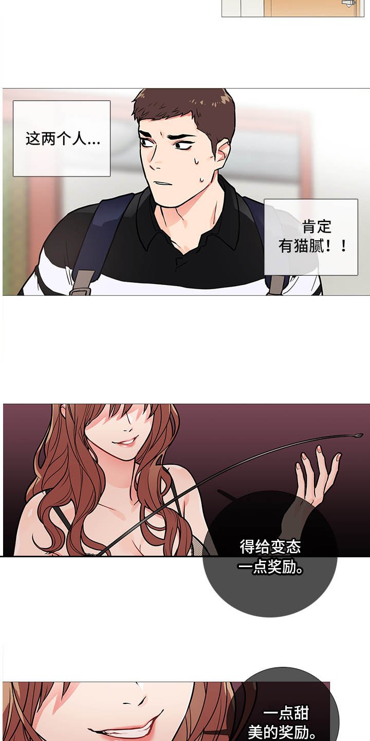 第19章：猫腻