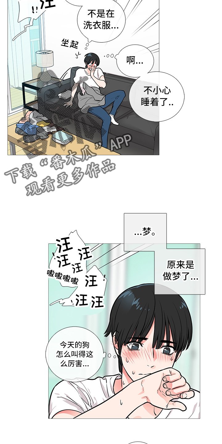 第19章：猫腻