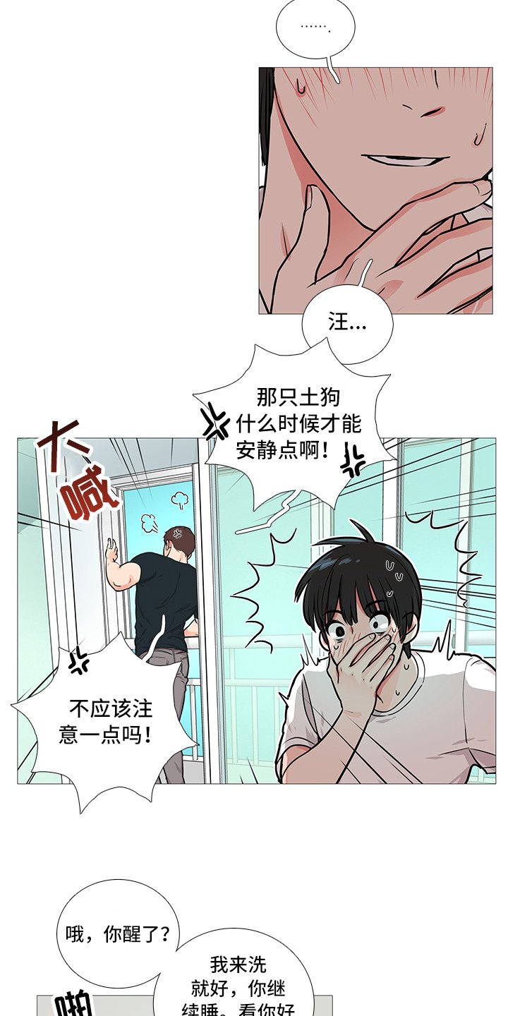 第19章：猫腻