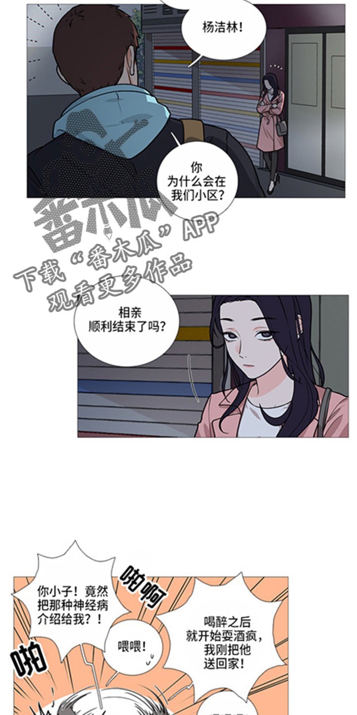 第40章：掩护