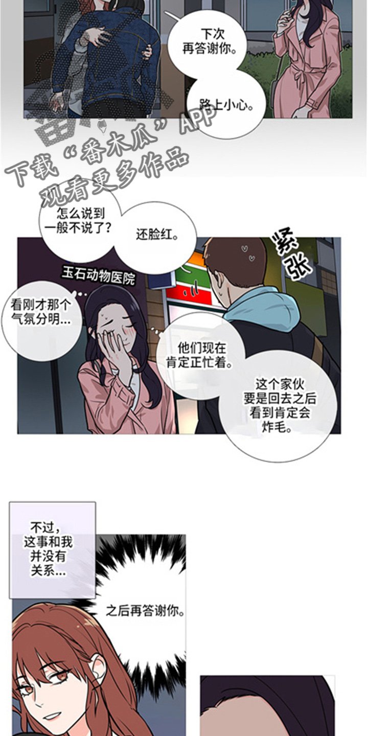 第40章：掩护
