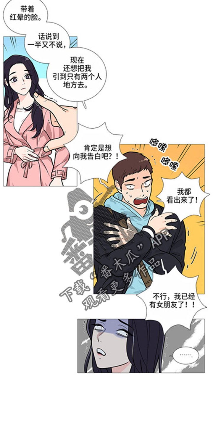 第40章：掩护