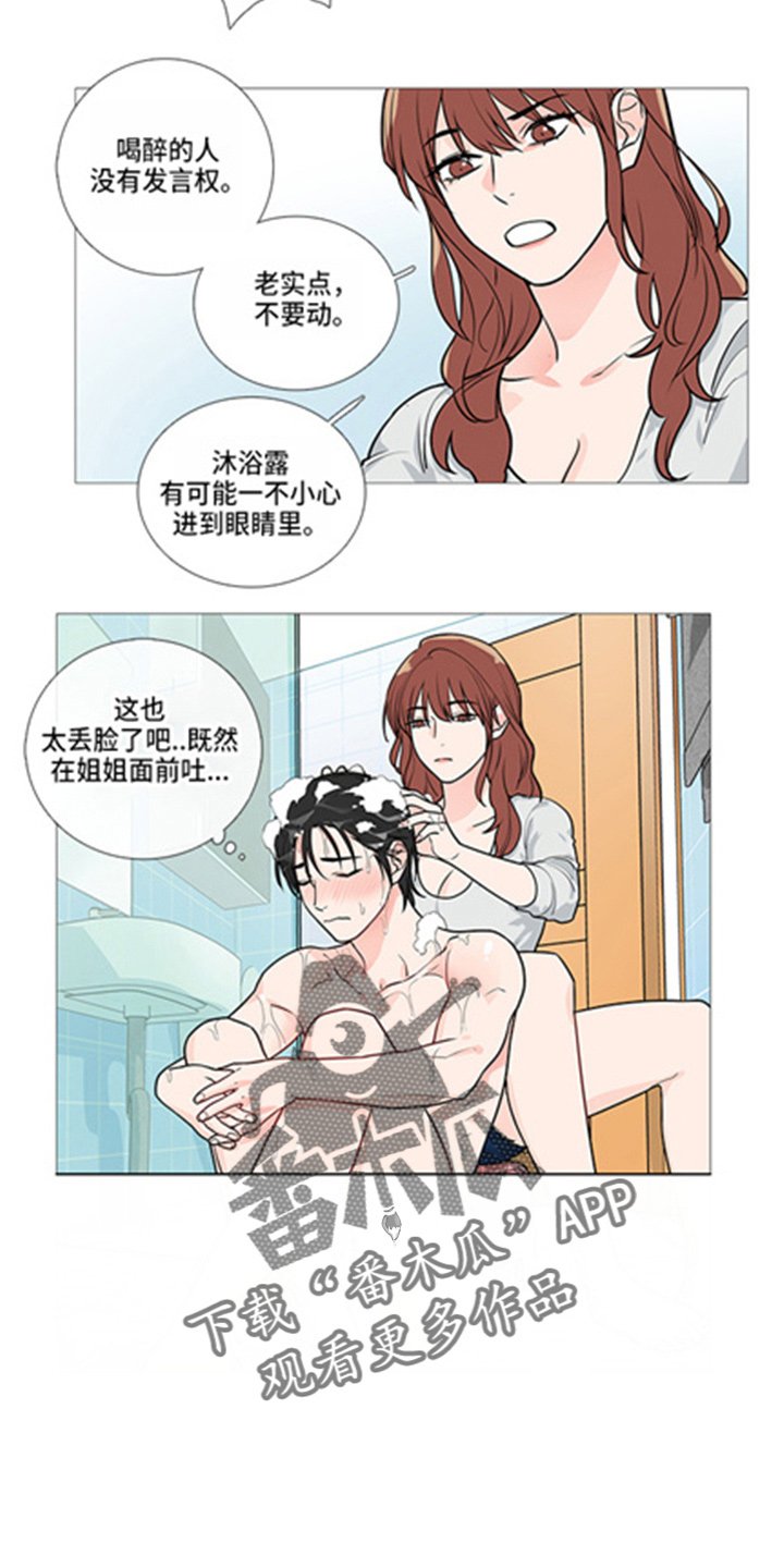 第40章：掩护