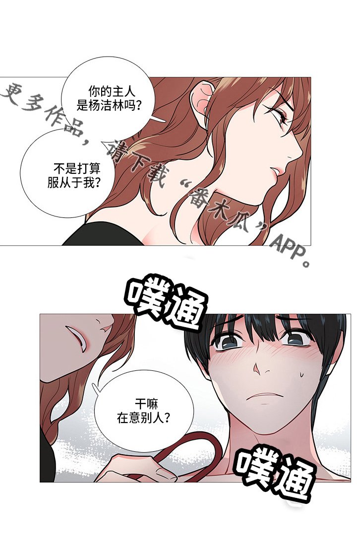 第62章：一起玩