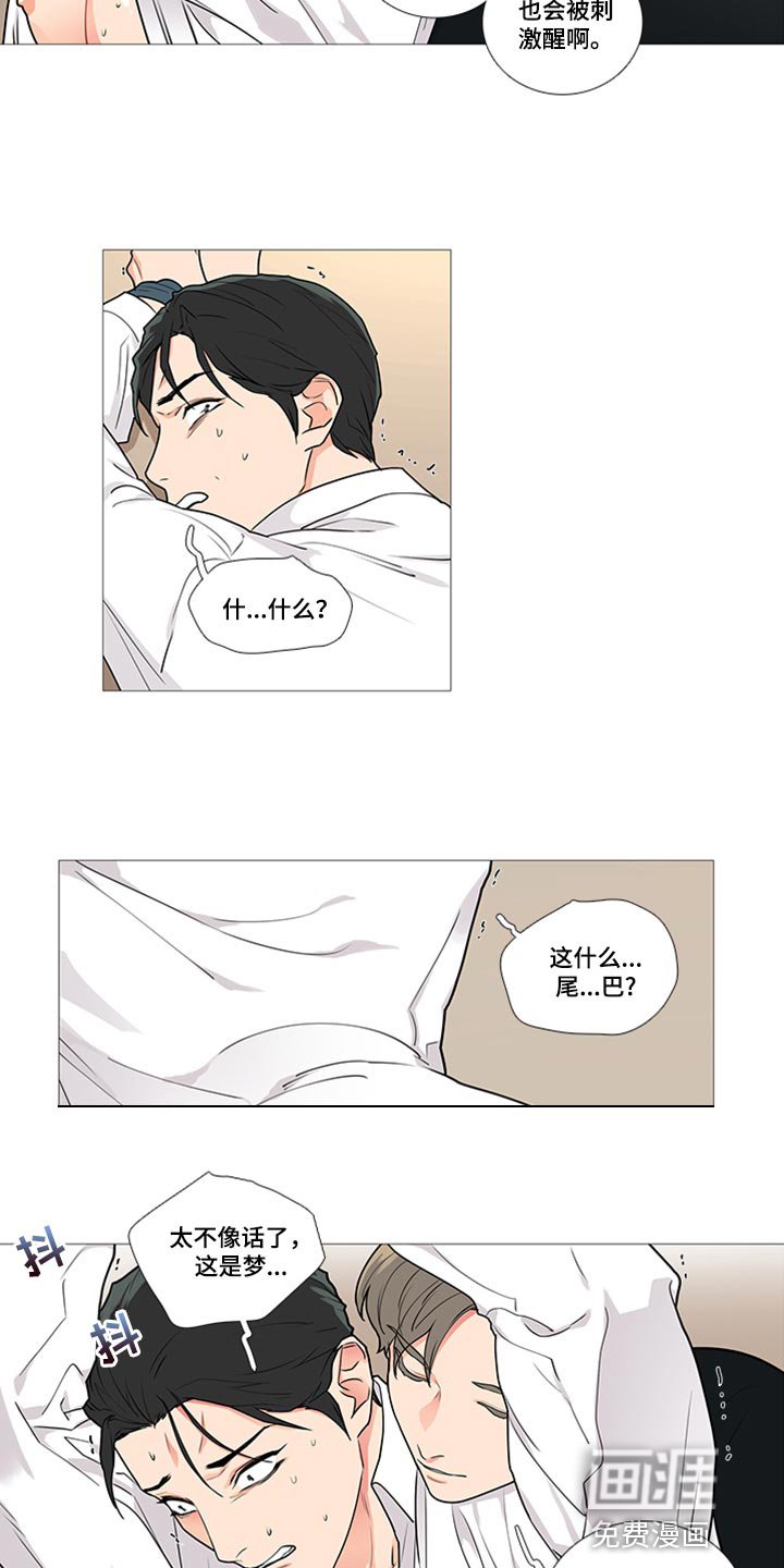 第80章：这是梦