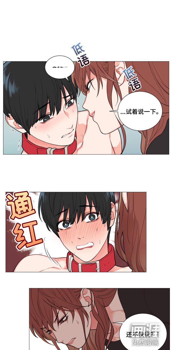 第95章：试着说一下