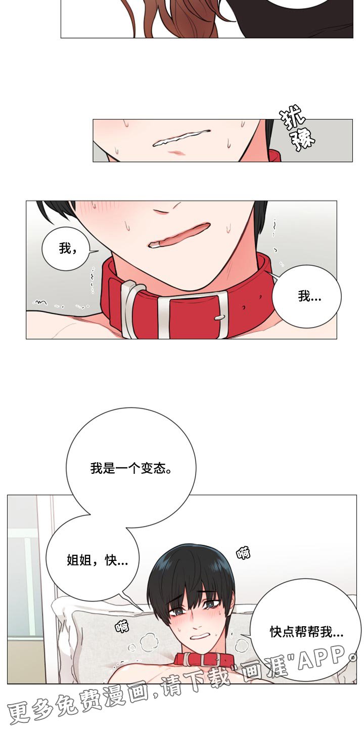 第95章：试着说一下