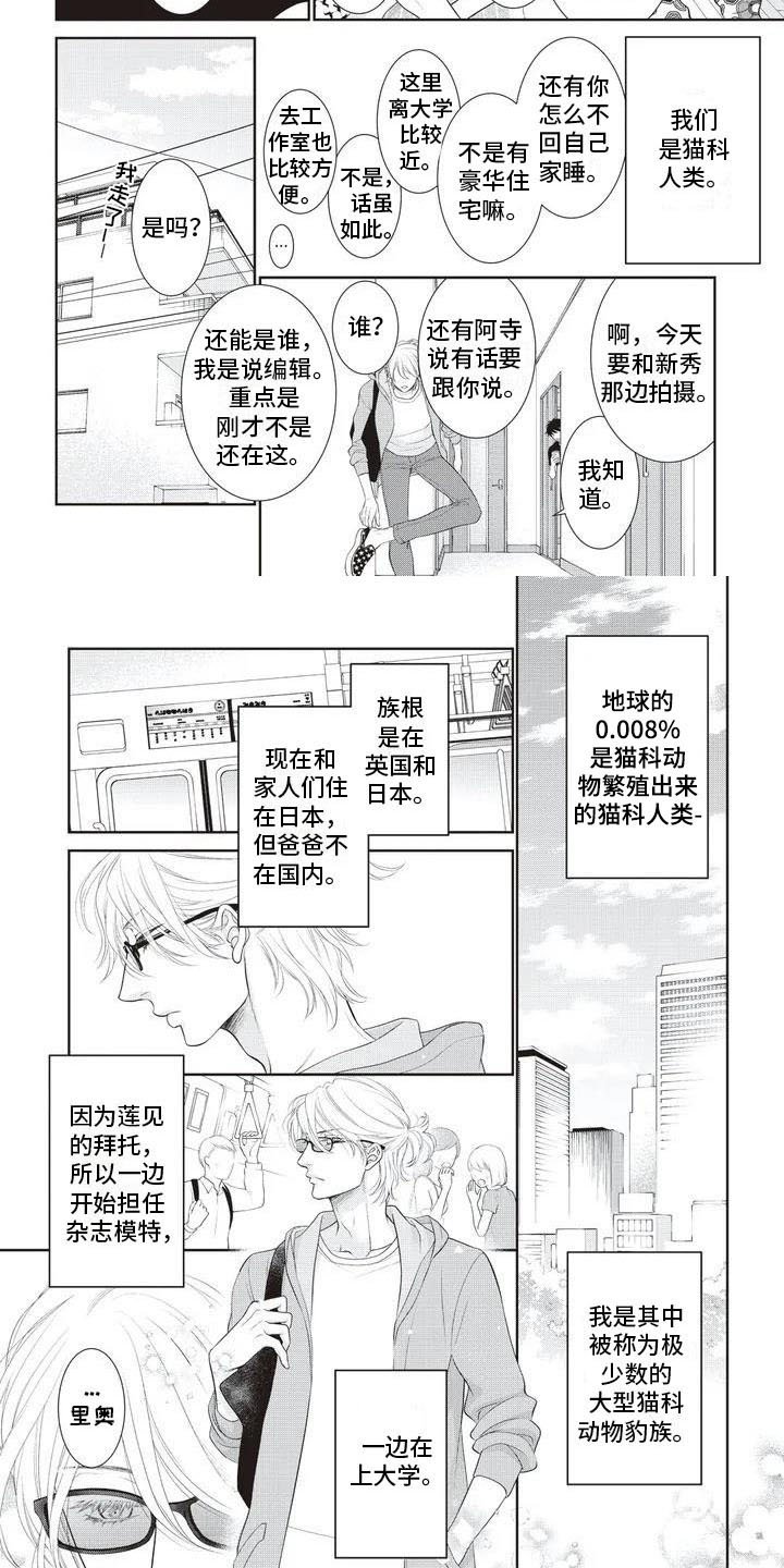 第1章：不简单