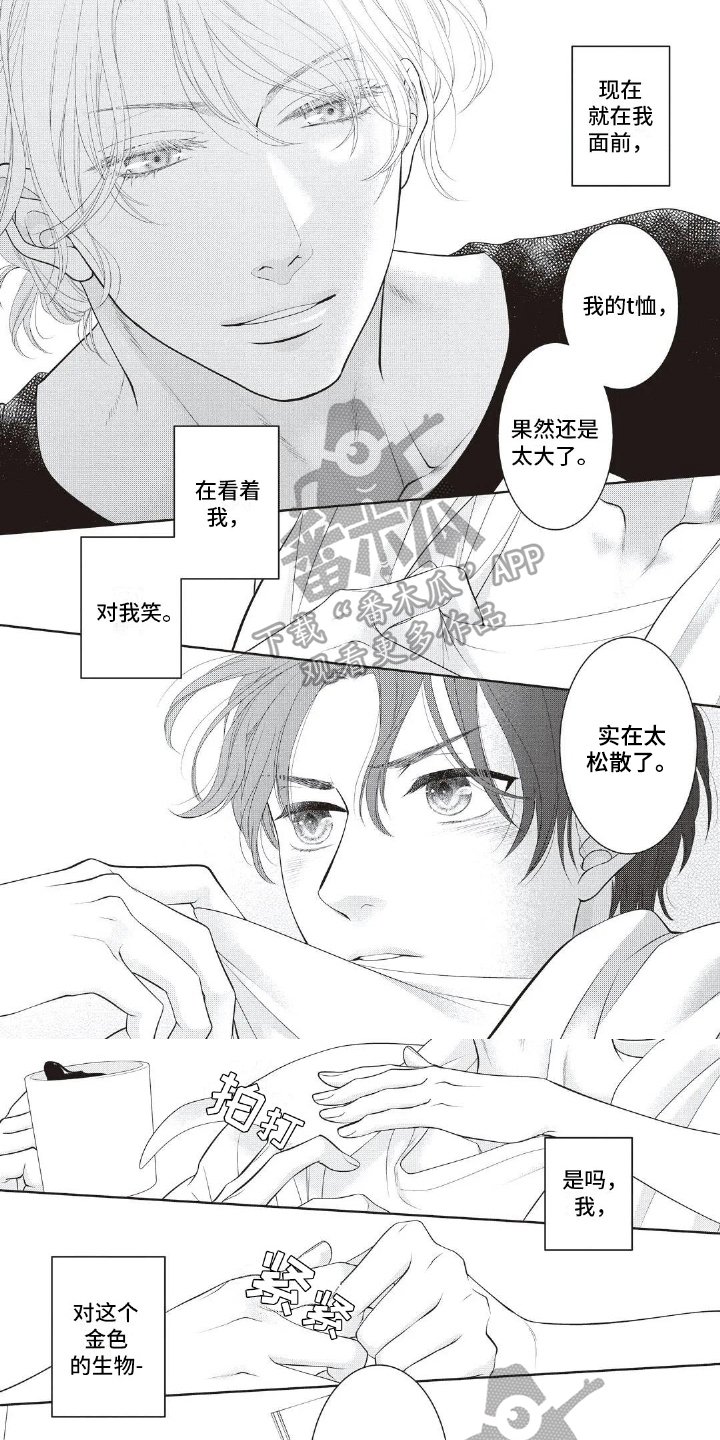 第15章：朋友
