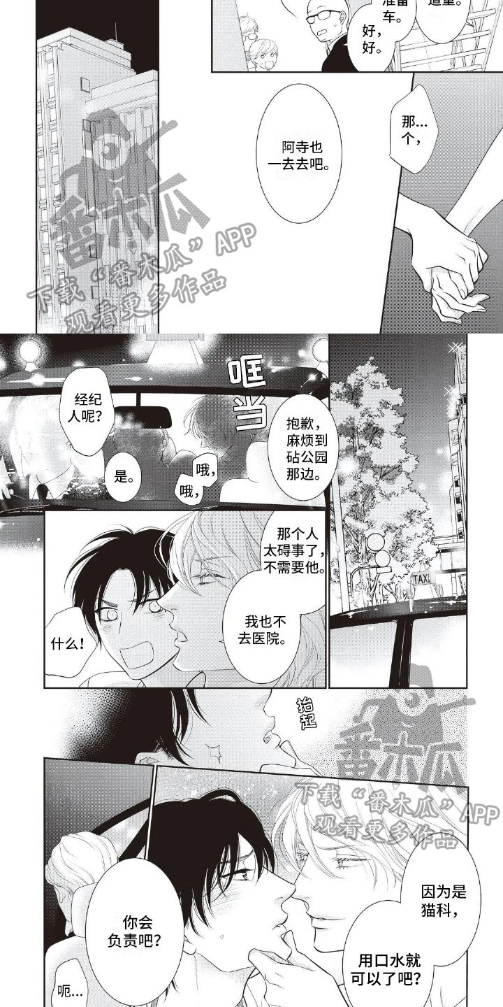 第19章：治疗