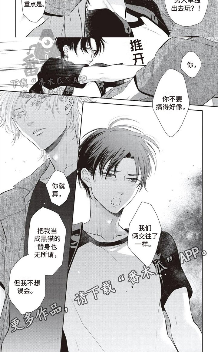 第24章：替代