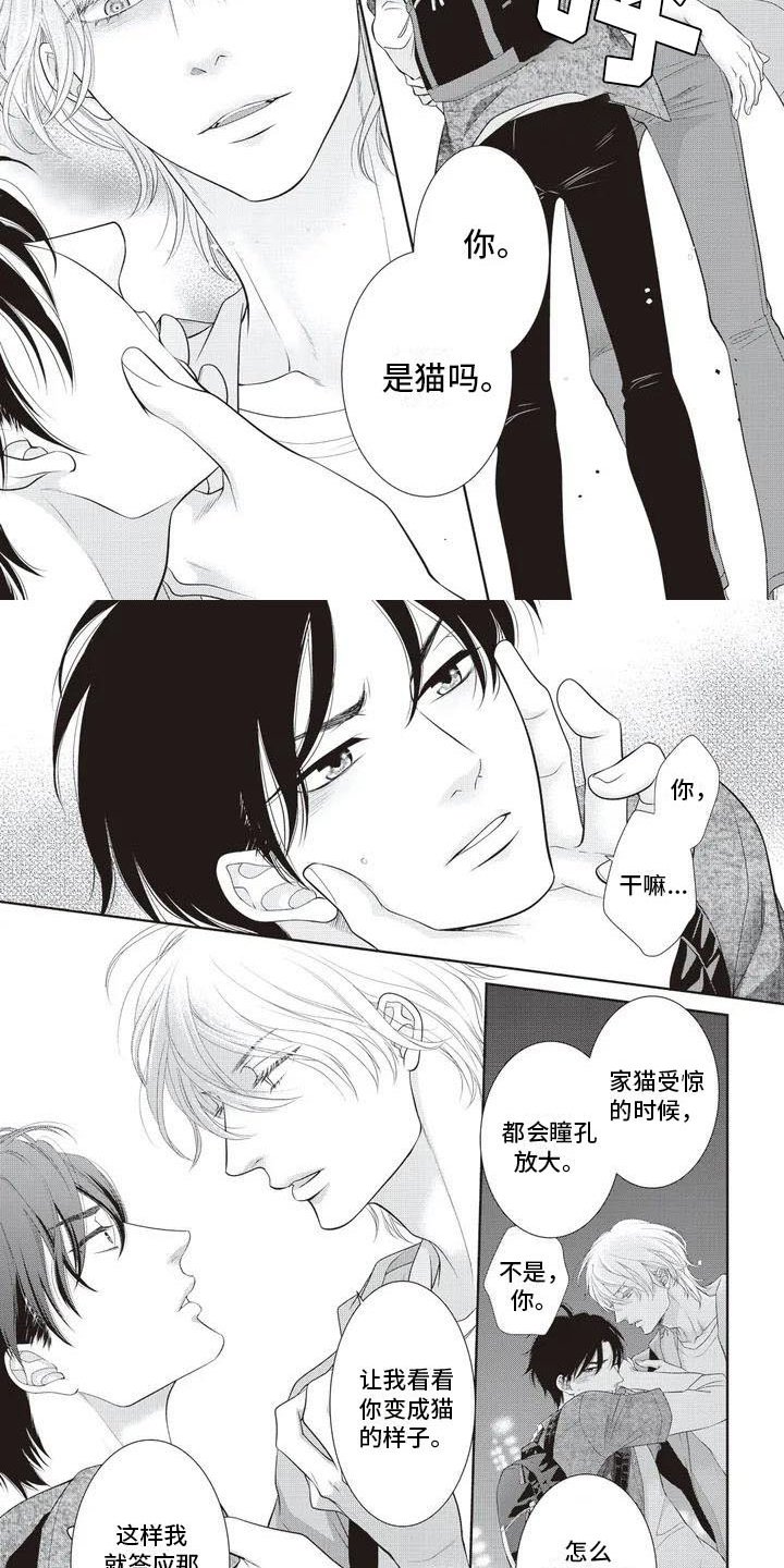 第3章：家猫