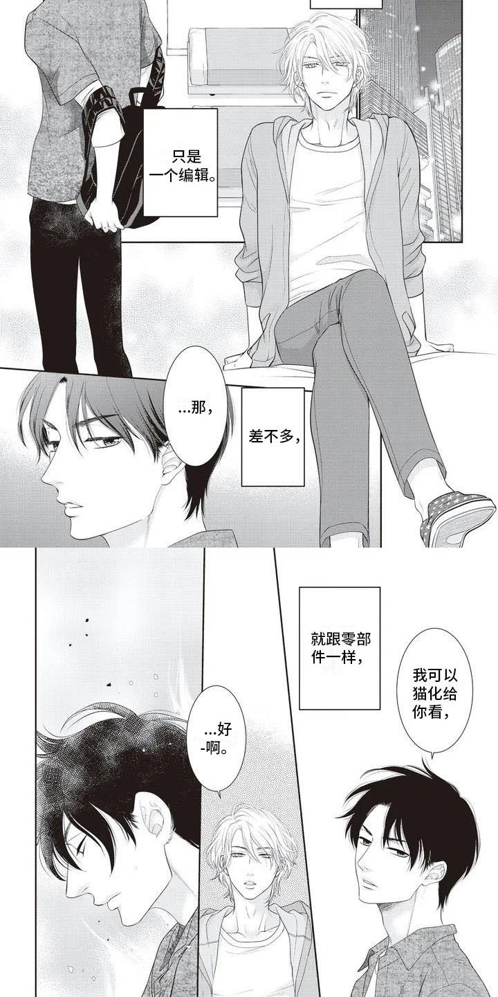 第3章：家猫