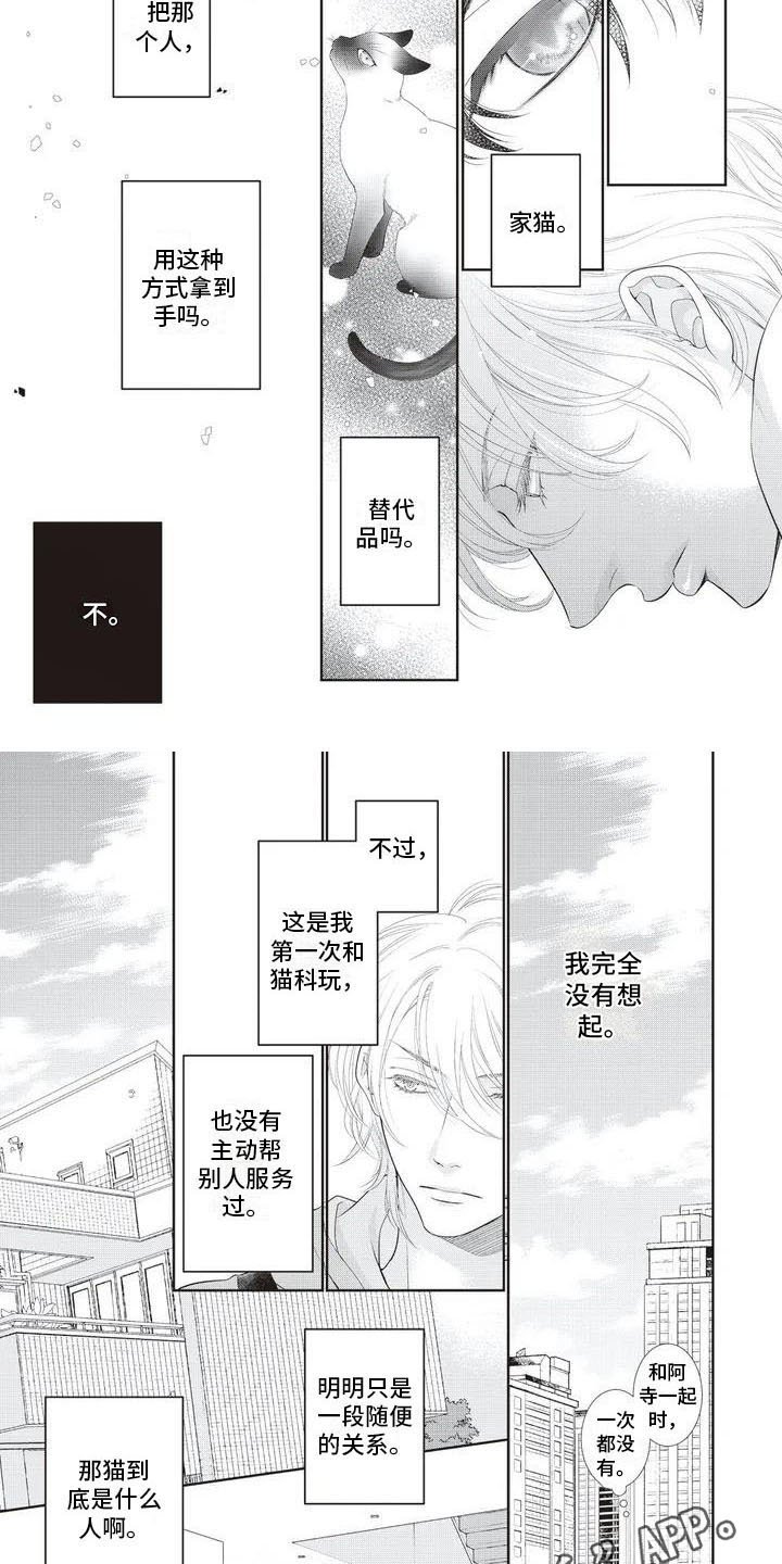 第4章：在意