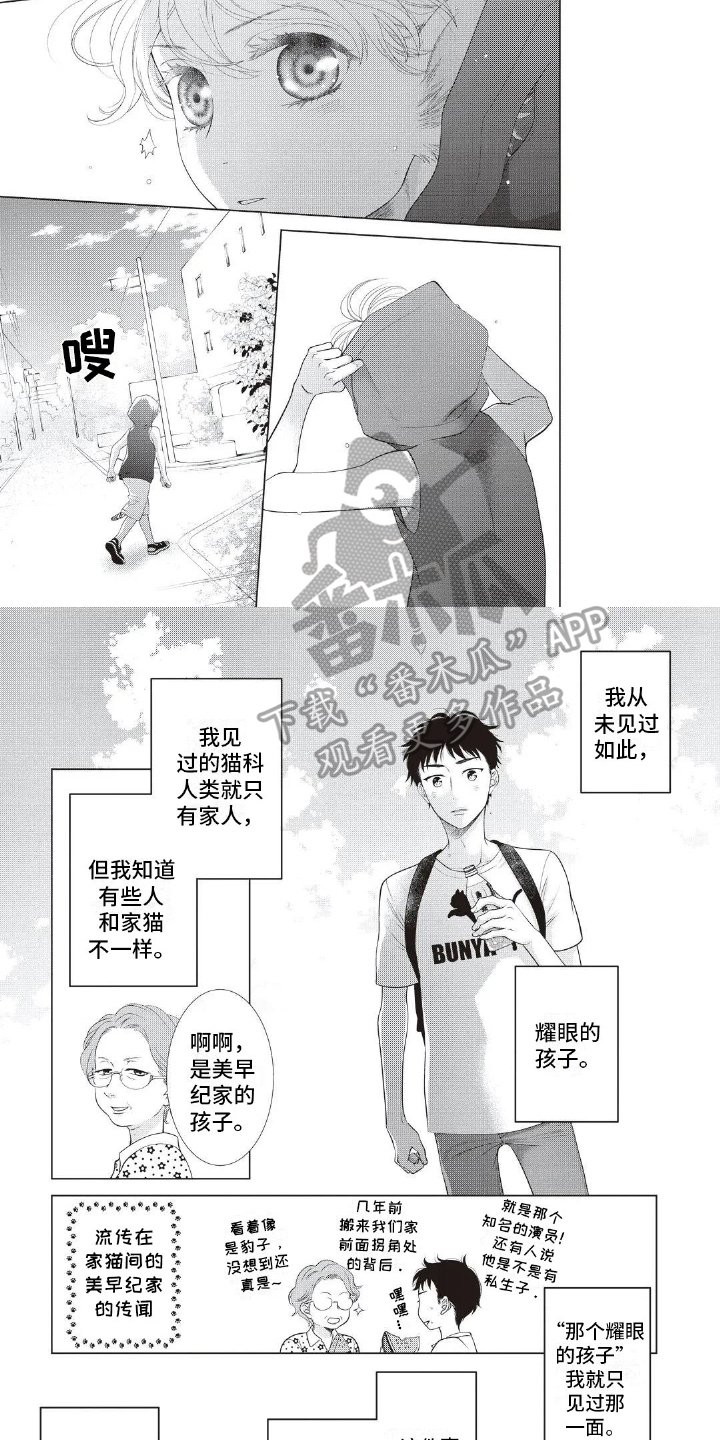 第9章：耀眼