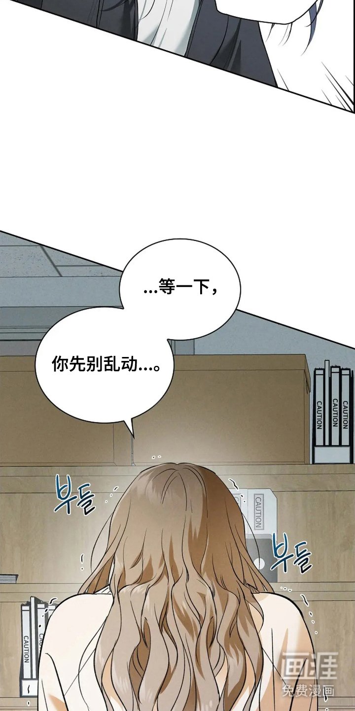第17章：疯子