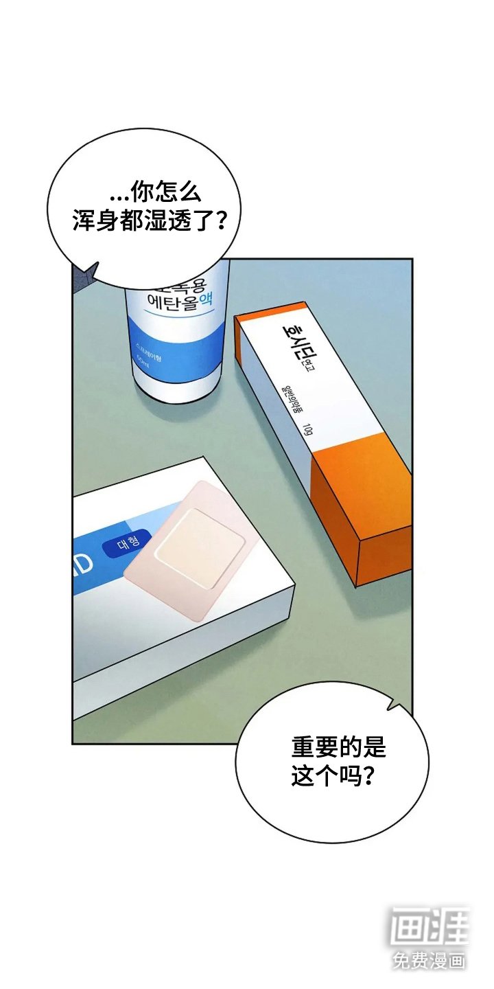 第18章：上药