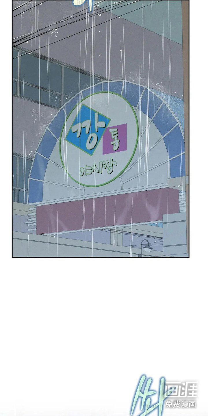第19章：行动