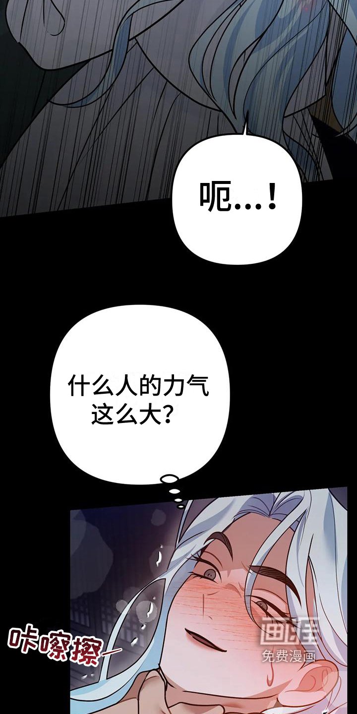 第17章：捕食者：异常