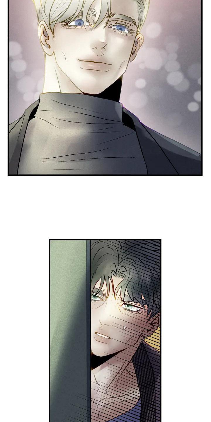 第3章：见面