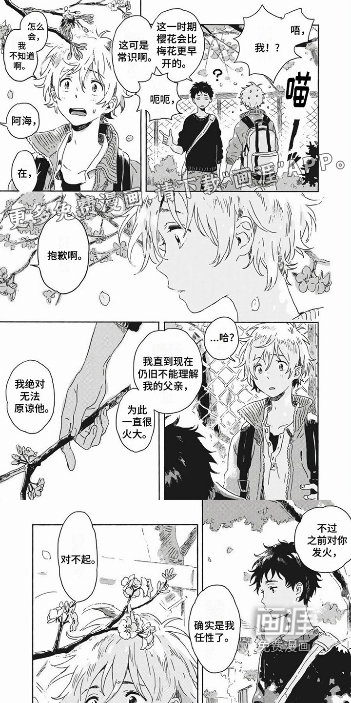 第19章：养猫