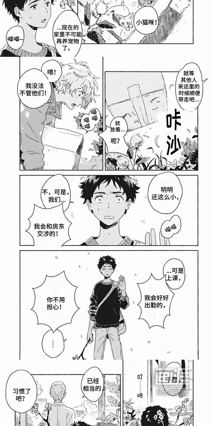 第19章：养猫