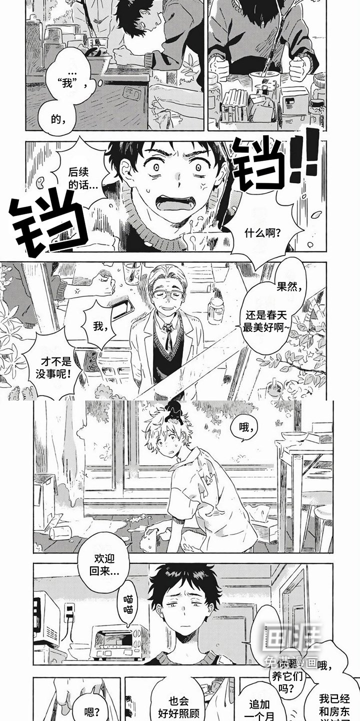 第19章：养猫