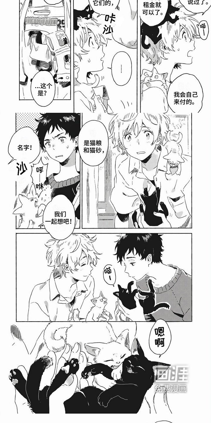 第19章：养猫