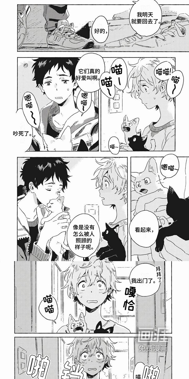 第19章：养猫