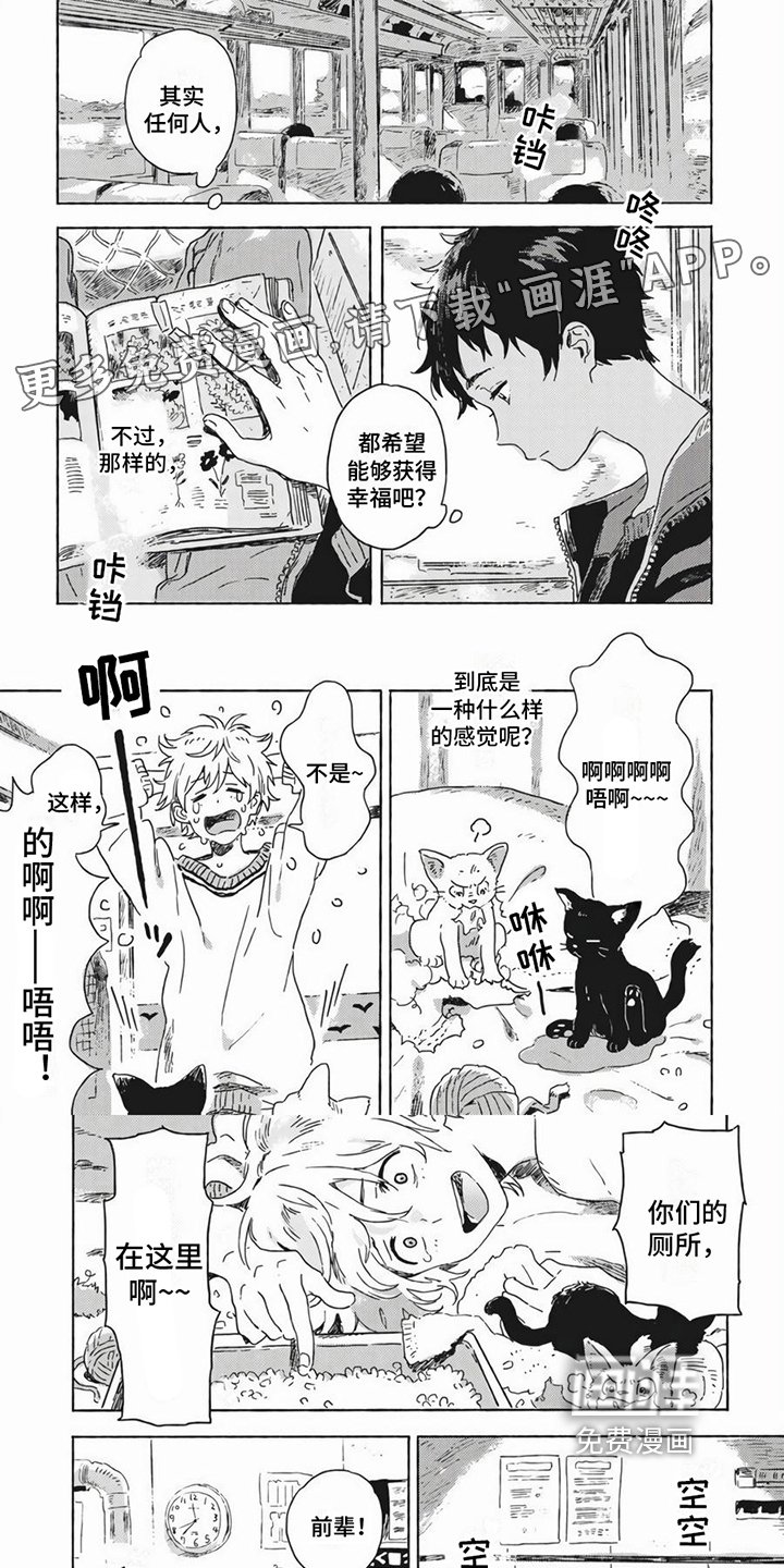 第21章：打算