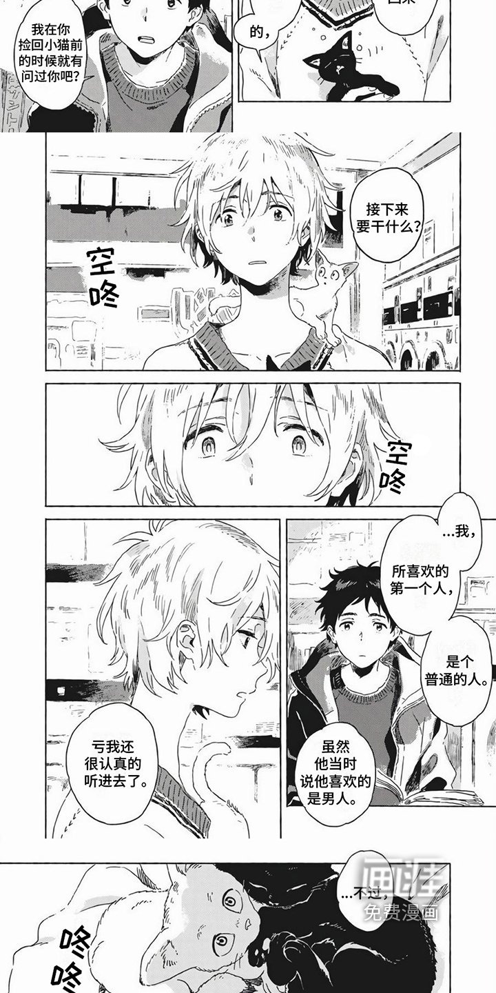 第21章：打算