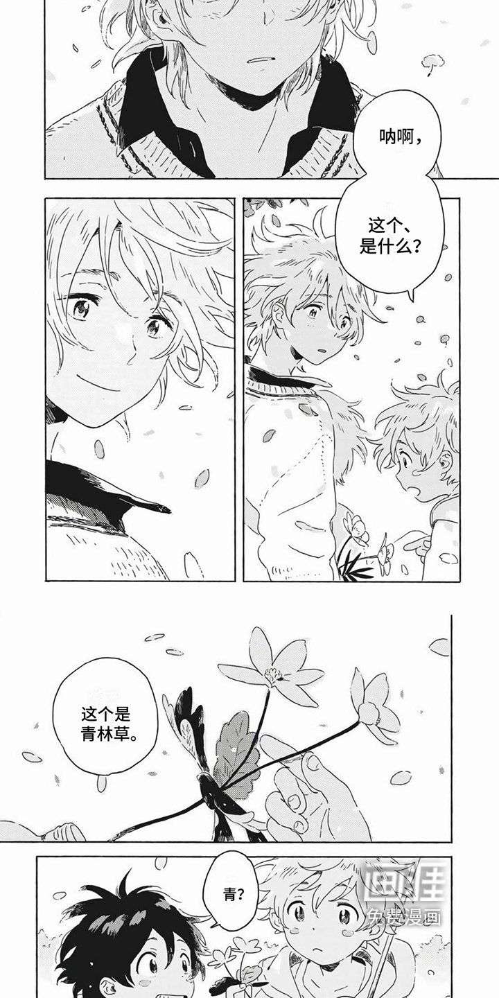 第26章：答案【完结】