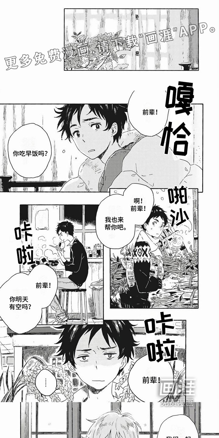 第8章：相似
