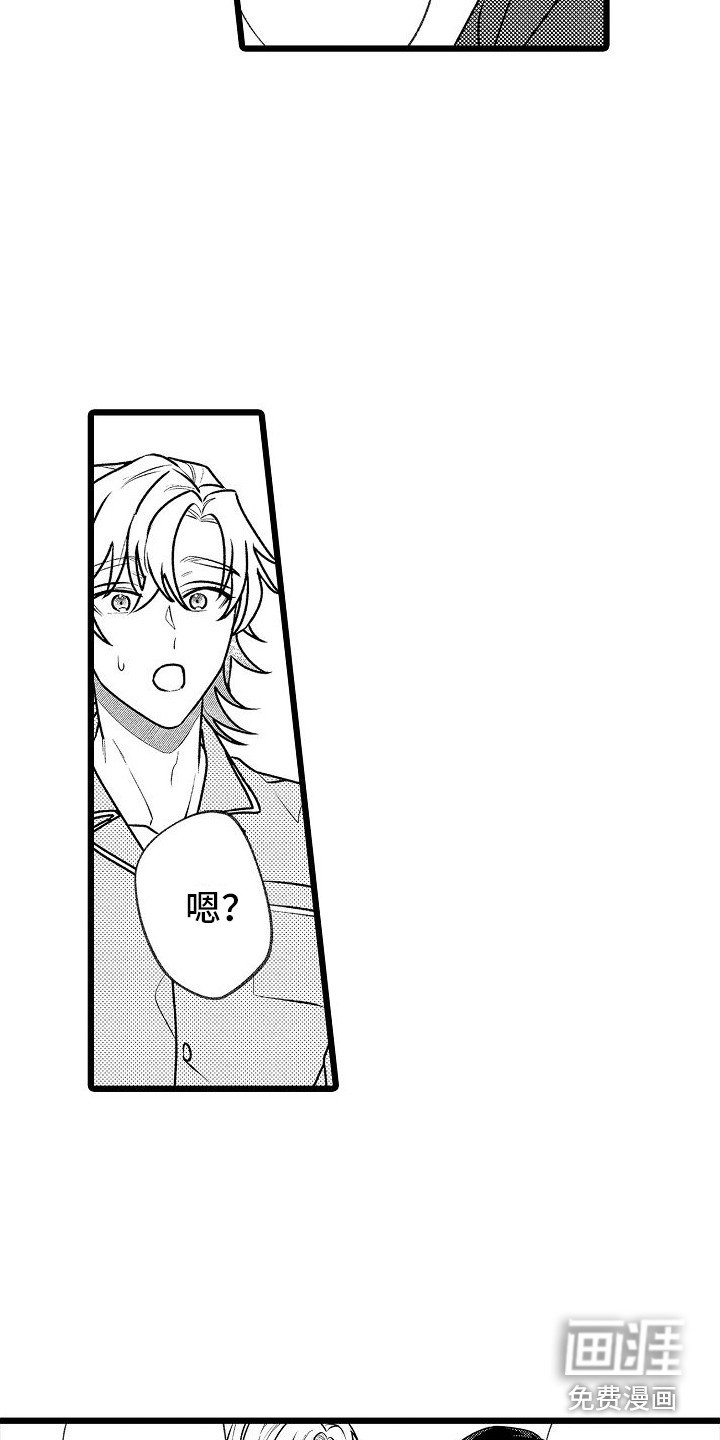 第15章：解释 