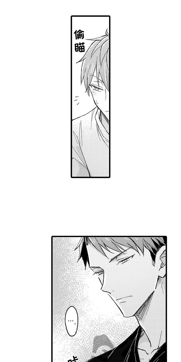 第9章：电影事件