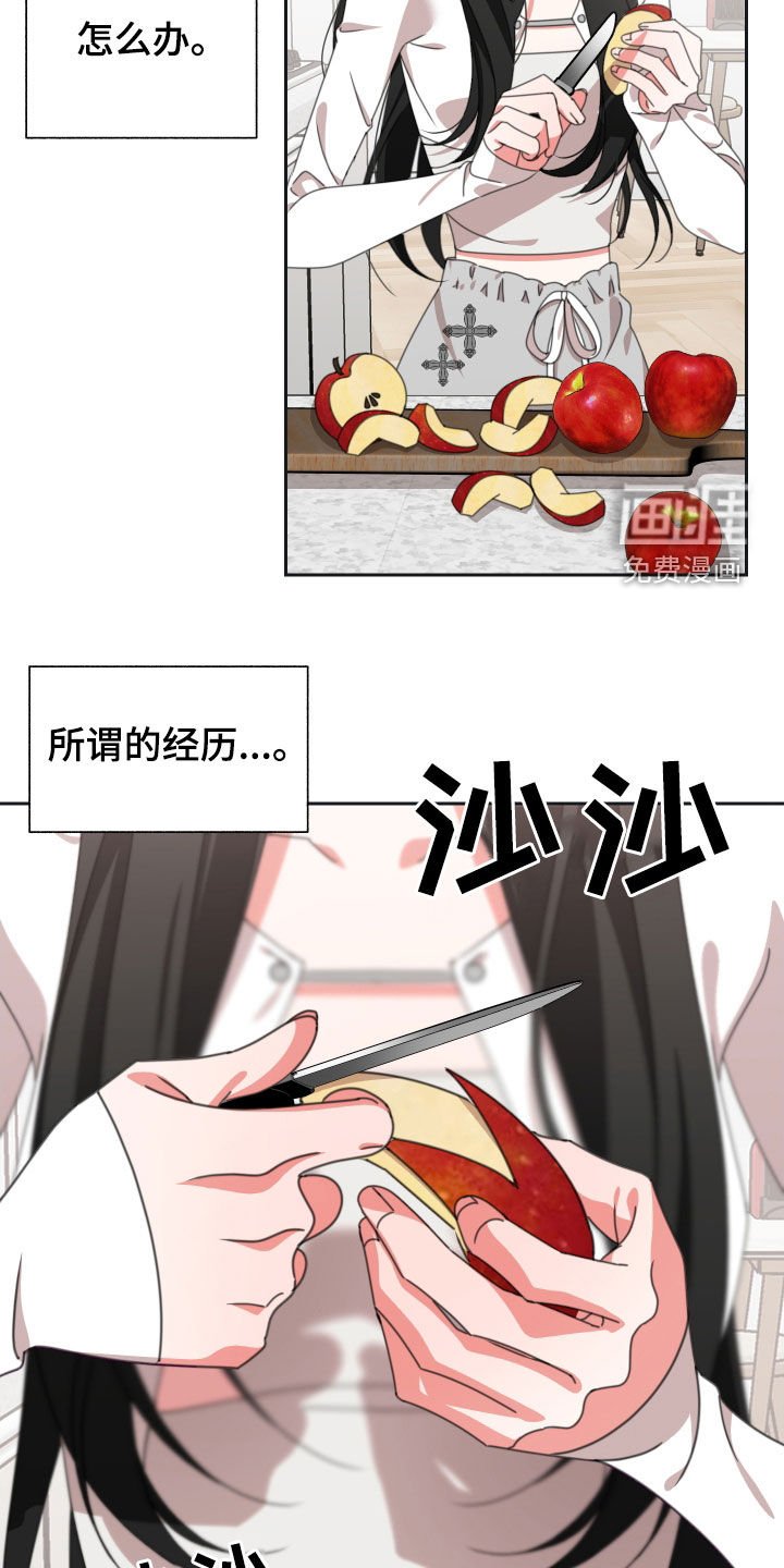 第17章：苹果
