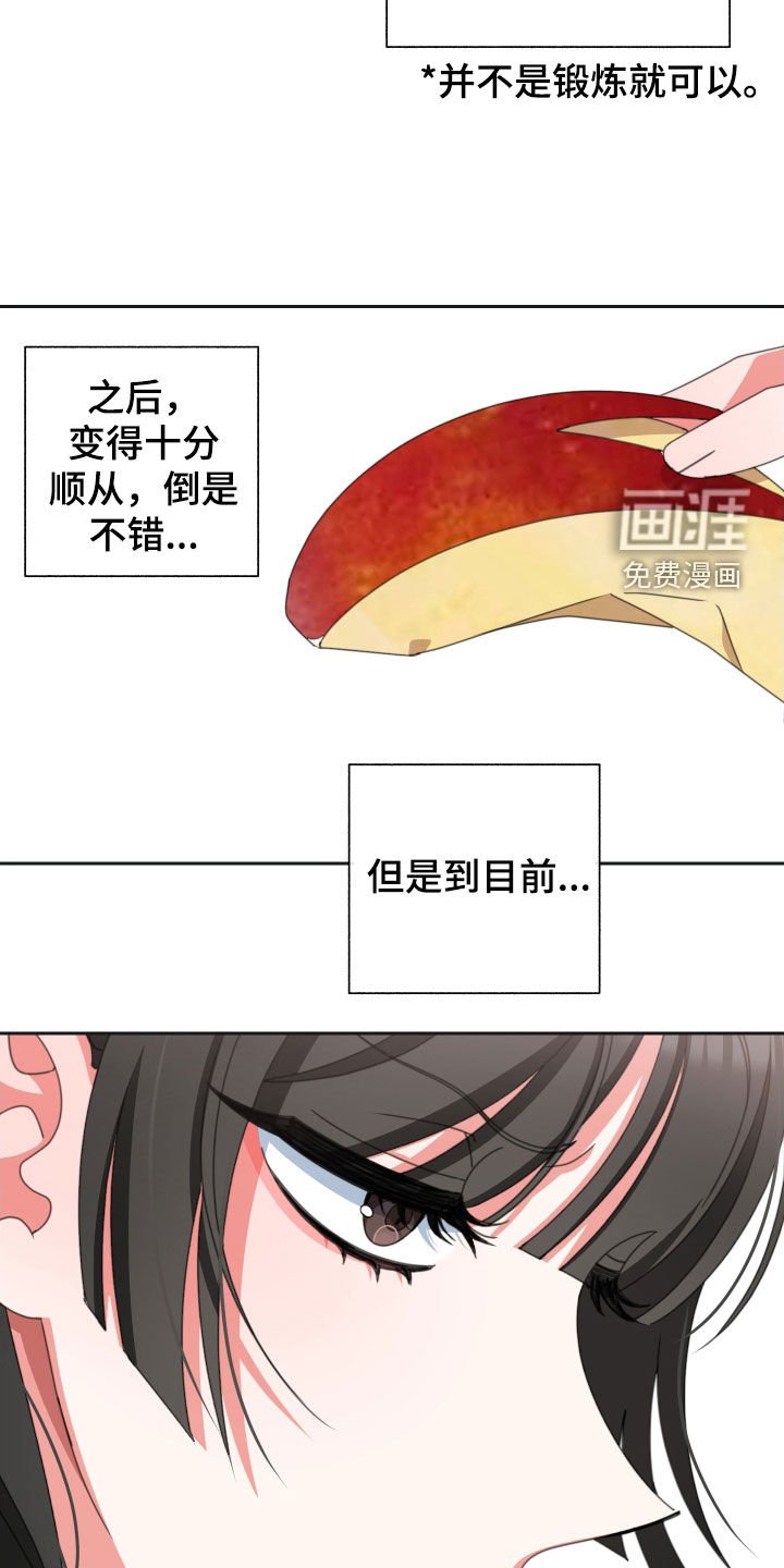第17章：苹果