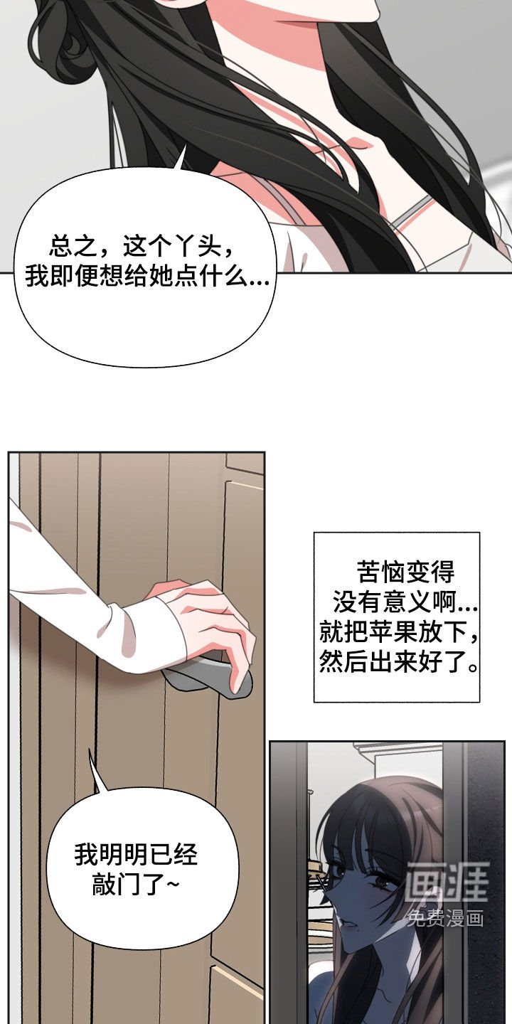 第17章：苹果