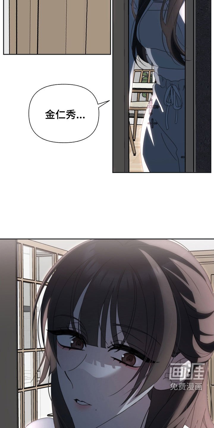 第17章：苹果