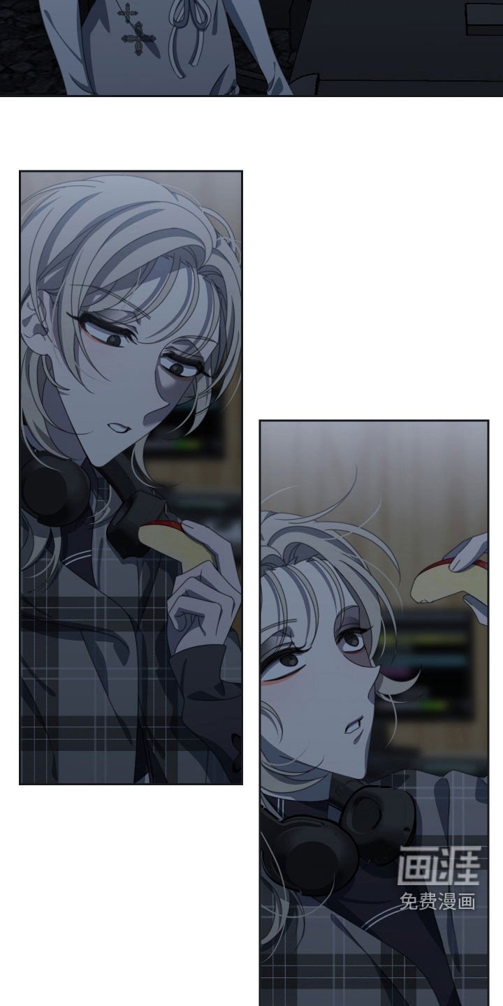 第17章：苹果