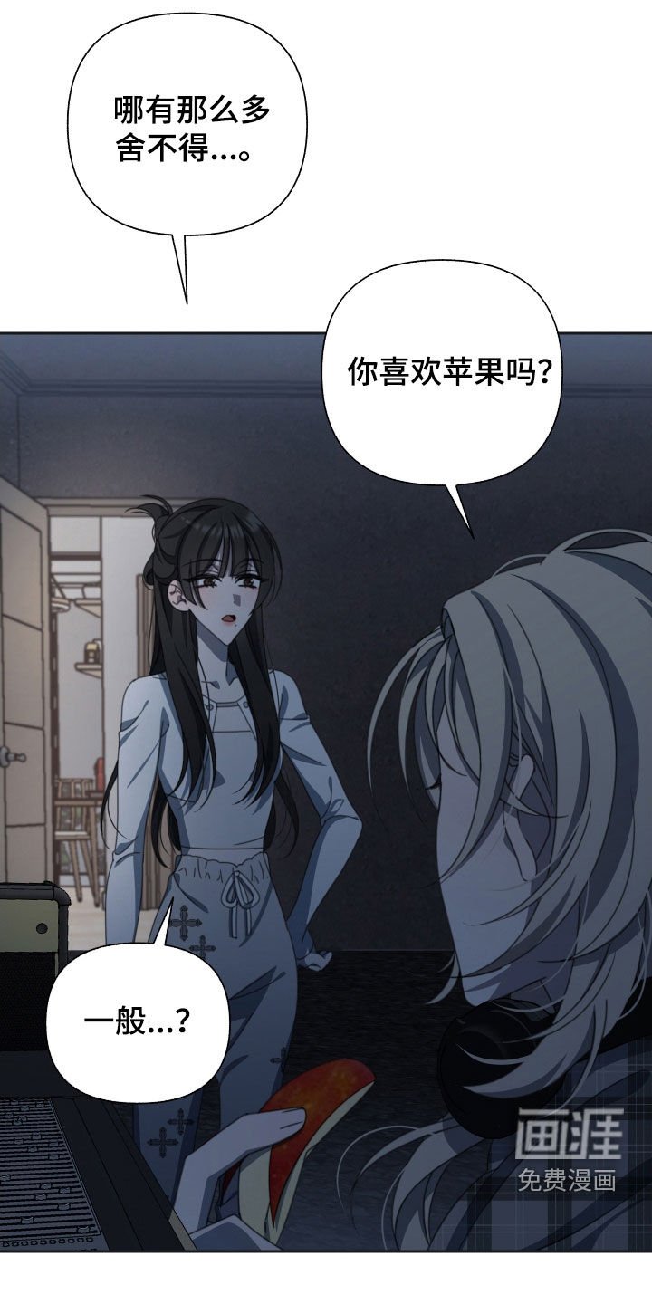 第17章：苹果